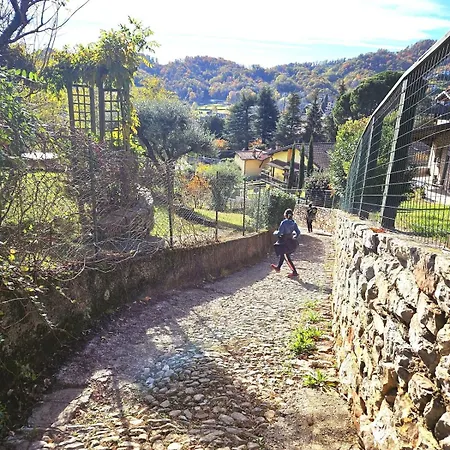 Albenza * Palazzago